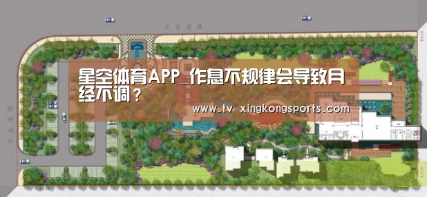 星空体育APP